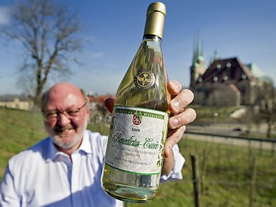 K. Dietrich am Weinberg
