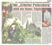 weinkataster